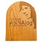 Used Ortega Annalog Trigger Pad