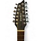 Used Breedlove DISCOVERY  S CONCERT ED 12 ST CE EDGE BURST 12 String Acoustic Electric Guitar