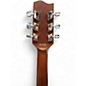 Used Fender Model F 200 Natural Acoustic Guitar