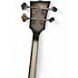 Used Dunable Guitars GNARWALL SLIVER BURST Electric Bass Guitar
