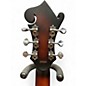 Used Gold Tone F-6 Mando-Guitar Vintage Burst Acoustic Electric Guitar