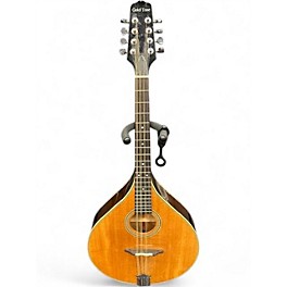 Used Gold Tone Mandola Natural Mandolin