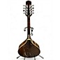 Used Gold Tone Mandola Natural Mandolin