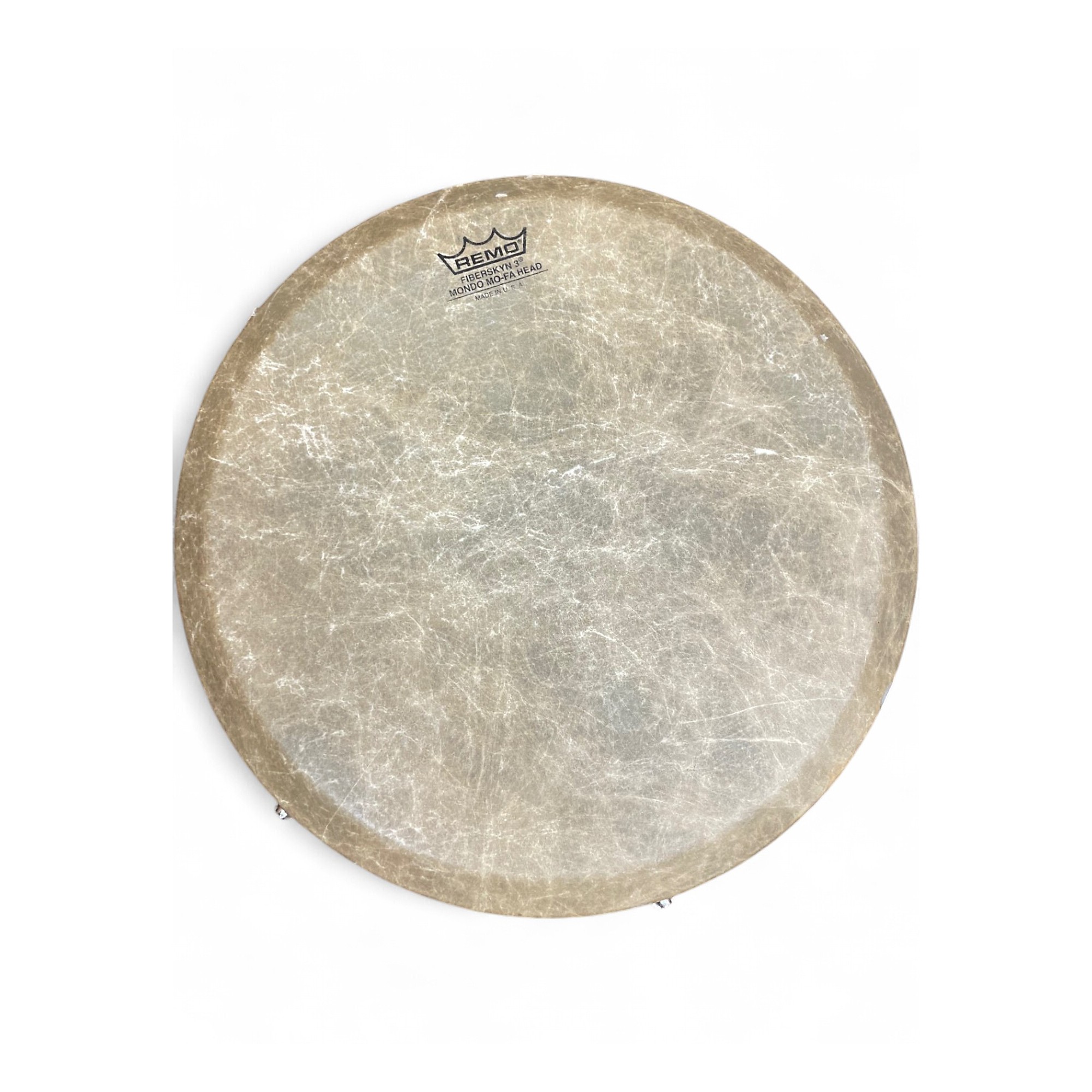 Used Remo Remo Designer Series Djembe Djembe | Guitar Center