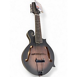 Used Gold Tone F-12 smoke burst Mandolin