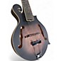 Used Gold Tone F-12 smoke burst Mandolin