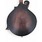 Used Gold Tone F-12 smoke burst Mandolin