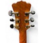 Used Luna Vista Wolf Tropical Wood Acoustic Electric Guitar
