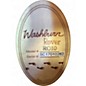 Used Washburn Ro10 Rover Natural Acoustic Guitar