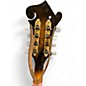 Used Gold Tone MASTERTONE GM-70+  F-STYLE 2 Tone Sunburst Mandolin