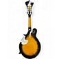 Used Gold Tone GM-35 2 Tone Sunburst Mandolin