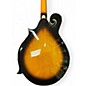 Used Gold Tone GM-35 2 Tone Sunburst Mandolin