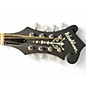Used Washburn M3EKA 2 Color Sunburst Mandolin