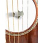 Used Breedlove Pursuit Dreadnought Mahogany Natural Acoustic Electric Guitar