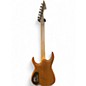 Used Ormsby HypeGTR Dragon Burst Solid Body Electric Guitar