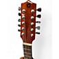 Used H. Jimenez EL ESTANDAR BAJO QUNITO Trans Black Latin Stringed Instrument