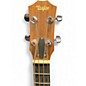 Used Taylor GS MINI BASS GUITAR SPRUCE Natural Acoustic Bass Guitar