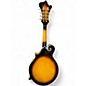 Used Lida i-402s tobaco burst Mandolin