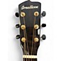 Used Breedlove performer pro concertina t e Tobacco Burst Acoustic Electric Guitar