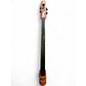 Used NS Design CR4M Amber Upright Bass