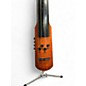 Used NS Design CR4M Amber Upright Bass