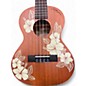Used Kala Hibiscus Walnut Ukulele