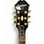 Used Epiphone Dot Deluxe Flametop BURST Hollow Body Electric Guitar