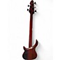 Used Peavey Cirrus BXP5 Walnut Electric Bass Guitar