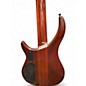 Used Peavey Cirrus BXP5 Walnut Electric Bass Guitar