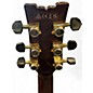 Used Ibanez AM93ME Ibanez Artcore Expressionist Macassar Ebony Hollow Body Electric Guitar