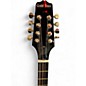 Used Gold Tone BZ500 BOUZUKI Natural