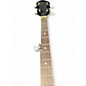 Used Johnson JB100 Mahogany Banjo