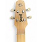 Used Seagull Merlin Mahogany Dulcimer