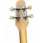Used Seagull Merlin Mahogany Dulcimer