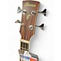 Used Ibanez PNB14E Natural Acoustic Bass Guitar