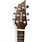 Used Breedlove Passport Traveler Mahogany Acoustic Guitar
