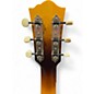 Used Farida OT-64VBS 2 Color Sunburst Acoustic Guitar
