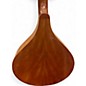 Used Gold Tone BZ500 Natural Mandolin