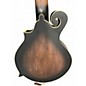 Used Gold Tone F-12 12-string F-style Mando-Guitar with Pickup Brown Burst Mandolin
