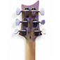 Used PRS NF53 SE DOGHAIR Solid Body Electric Guitar