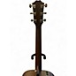 Used Taylor AD22e Walnut Stain Acoustic Guitar