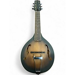 Used Gold Tone A-6 TABACCO SUNBURST Acoustic Guitar