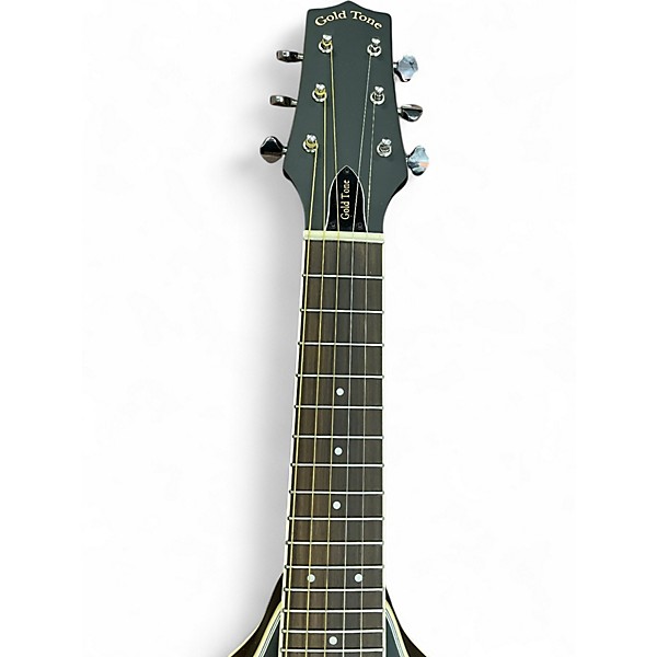 Used Gold Tone A-6 TABACCO SUNBURST Acoustic Guitar
