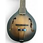Used Gold Tone A-6 TABACCO SUNBURST Acoustic Guitar