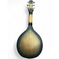 Used Gold Tone A-6 TABACCO SUNBURST Acoustic Guitar