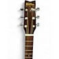 Used Washburn D-10N Natural Acoustic Guitar