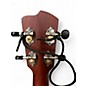 Used Breedlove PURSUIT EX CU CE BC2 SUNBURST Ukulele