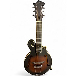 Used Gold Tone F-6  2 Color Sunburst