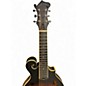 Used Gold Tone F-6  2 Color Sunburst