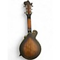 Used Gold Tone F-6  2 Color Sunburst